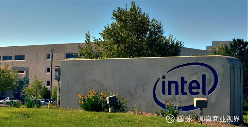 突发！印度裔高管被逐出硅谷，华人全面接管美国芯片企业 - 雪球：帅真商业视界