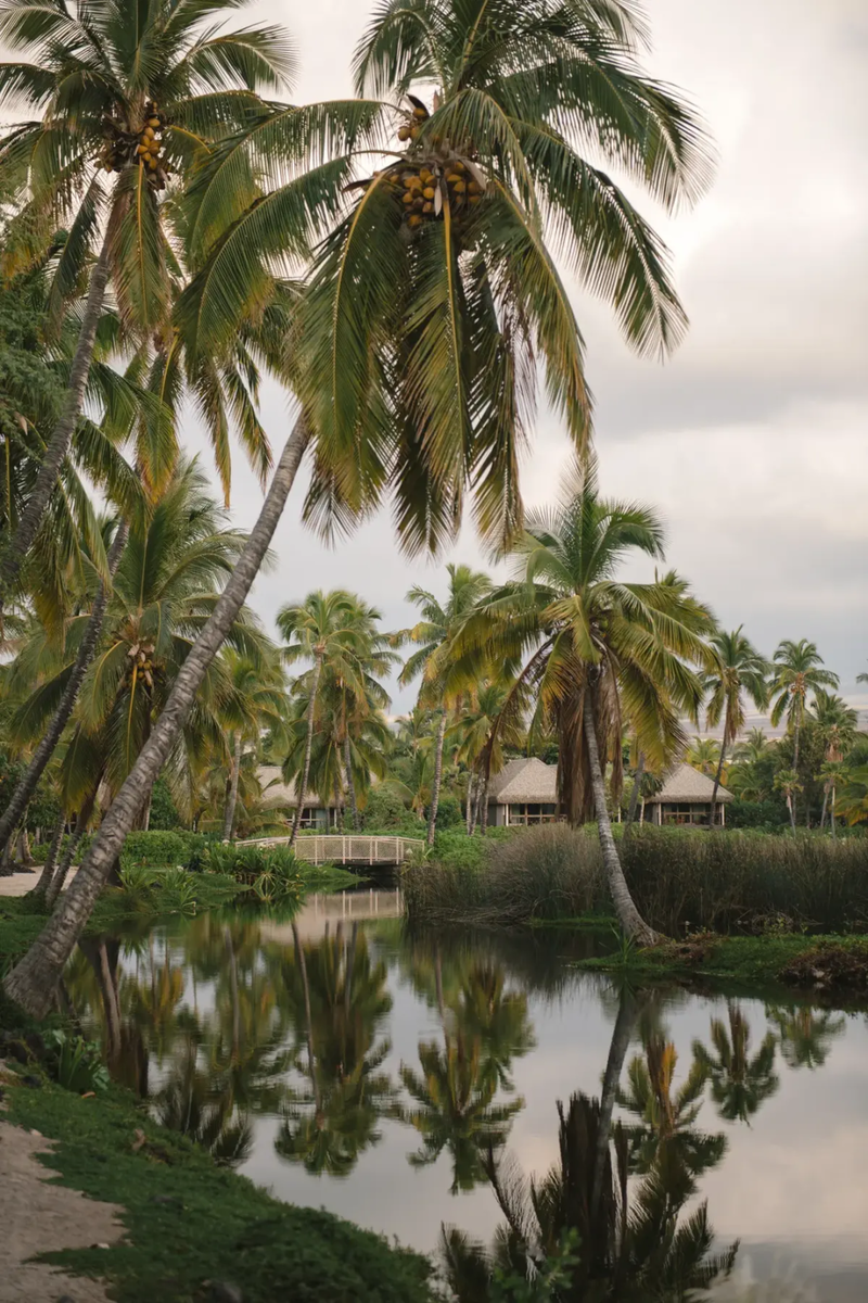 美千亿科技大佬女儿结婚 连摆 4 天奢华喜宴