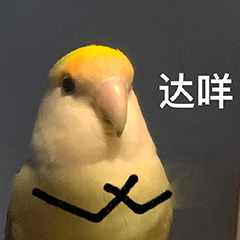 巴菲特刚退休，他的“替身”就来帮大家炒股？