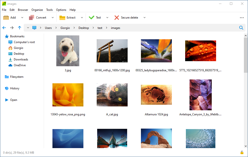 file explorer