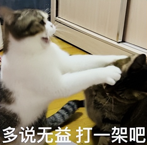 不用跟 AI 客气!新研究:语气越粗鲁回答正确率 不用跟 AI 客气!新研究:语气越粗鲁回答正确率