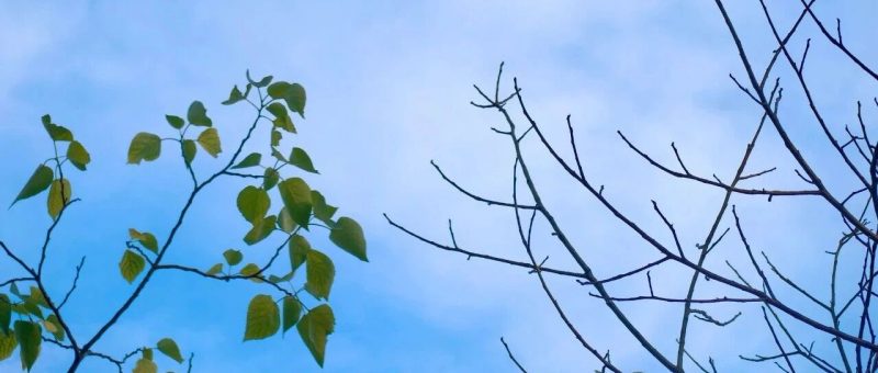 前几天做了个AI创新创业大赛的评委，说说感想-AI Express News