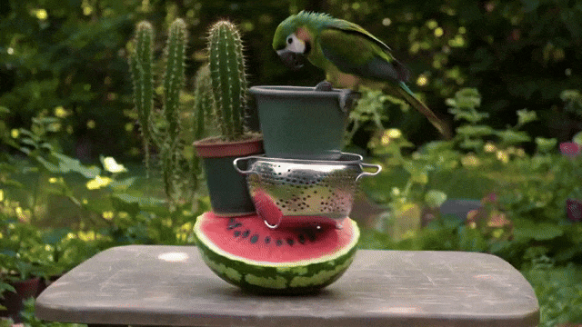 图片[12]-Runway Gen-4.5刷屏发布，把重量、尘土和光影都做对了，网友：颠覆-AI Express News