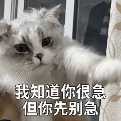 图片[3]-GPT5.5代号“蒜你狠”曝光！OpenAI拉响红色警报加班赶制新模型，最快下周就发-AI Express News