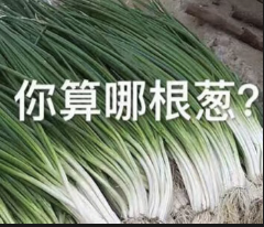 图片[8]-GPT5.5代号“蒜你狠”曝光！OpenAI拉响红色警报加班赶制新模型，最快下周就发-AI Express News