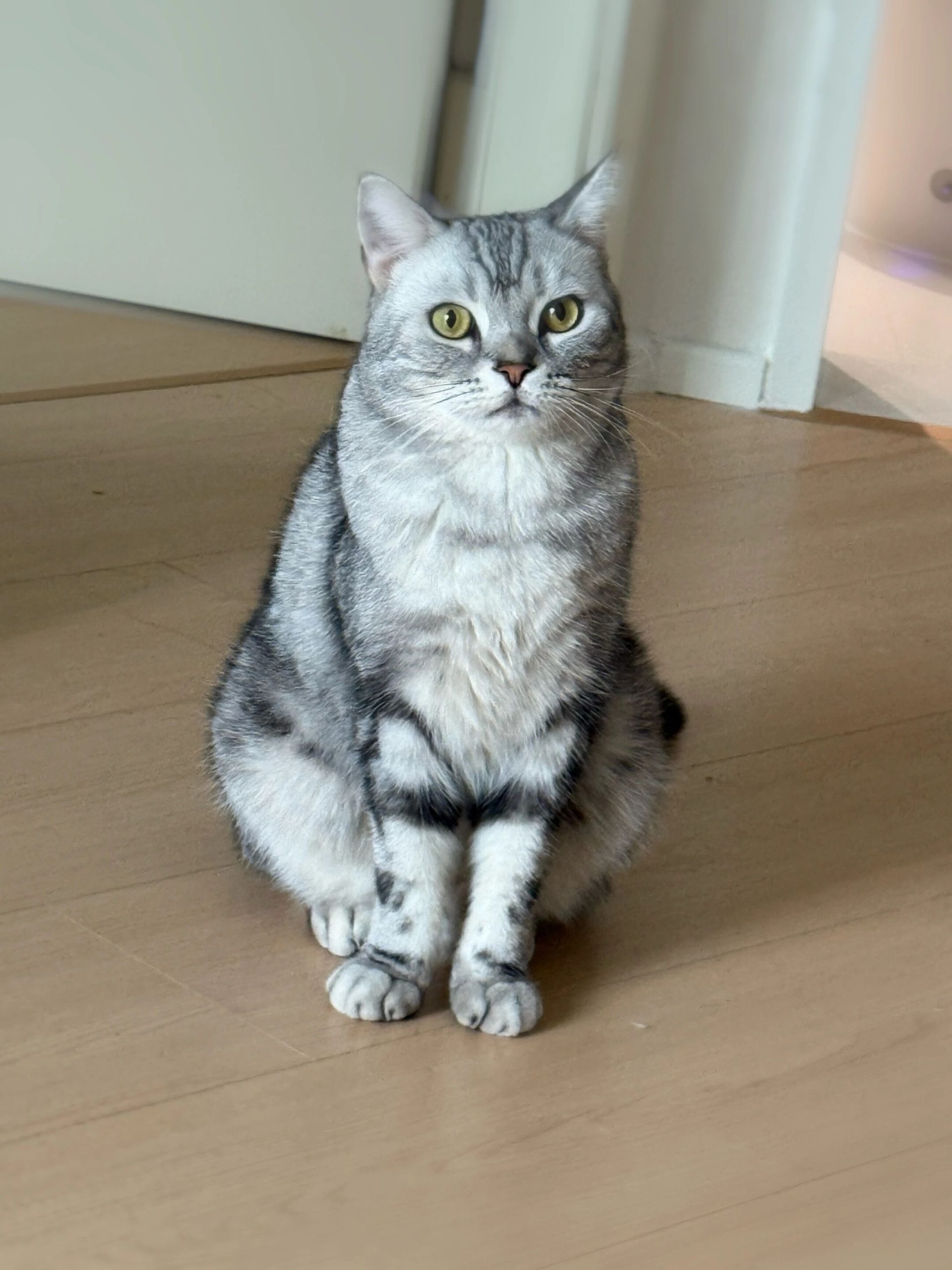 图片[17]-这大概是我见过最通俗易懂的AI发展历程科普详文了-AI Express News