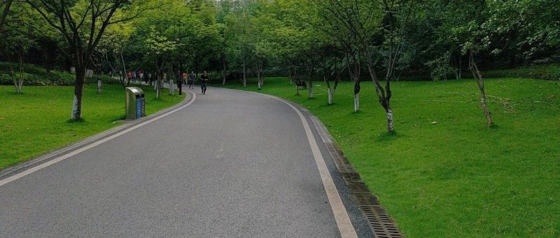 很多人低估了长期持续做一件事的价值和意义-AI Express News