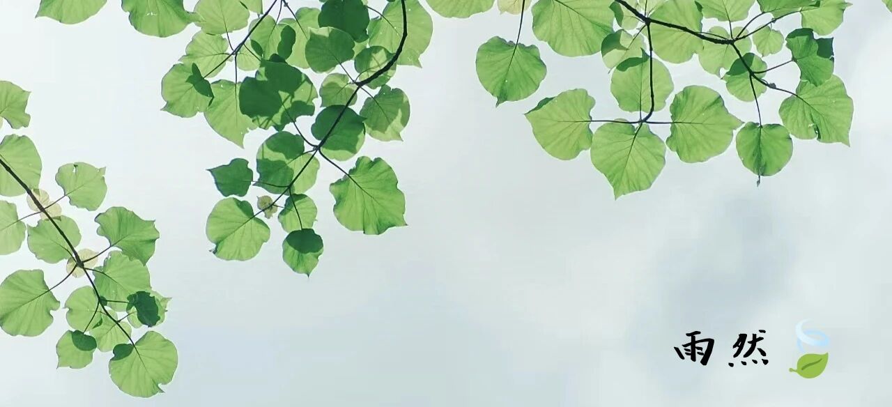 图片[1]-2026慢慢变好：强烈建议你一年只坚持一件事！-AI Express News