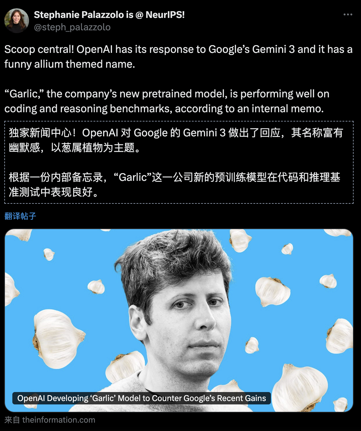 图片[10]-一夜变天！谷歌一刀砍向两巨头：奥特曼急了，黄仁勋慌了-AI Express News