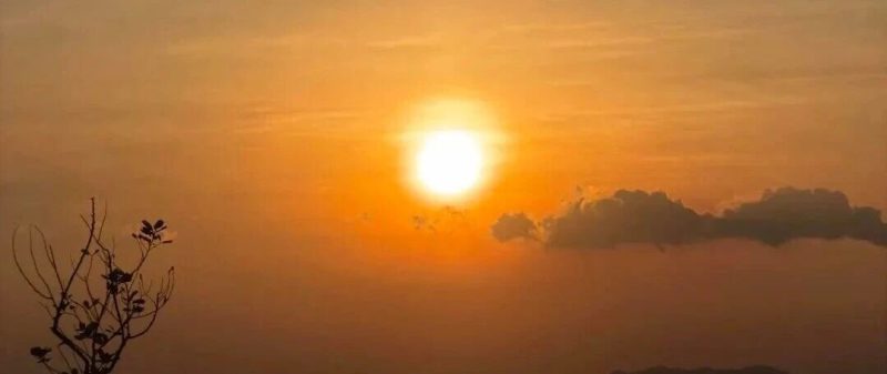 做一个只专注于一件事的人-AI Express News