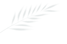 图片[2]-别再瞎忙了，90%的人根本不懂什么是真正的用户体验！-AI Express News