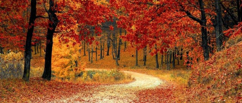 从产品经理的角度看Agent在行业落地的实践-AI Express News