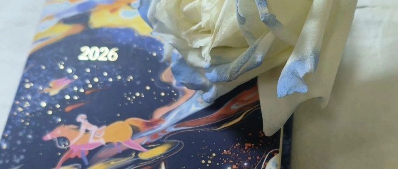 开始布局2026:用6个输出型爱好重塑自己-AI Express News