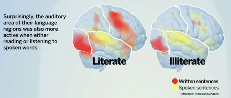 讲道理：看书比刷短视频“高级”吗？-AI Express News