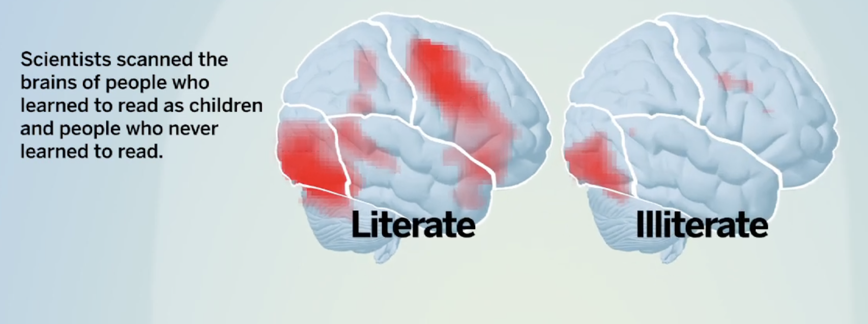 图片[2]-讲道理：看书比刷短视频“高级”吗？-AI Express News