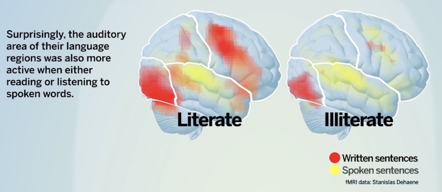 图片[3]-讲道理：看书比刷短视频“高级”吗？-AI Express News