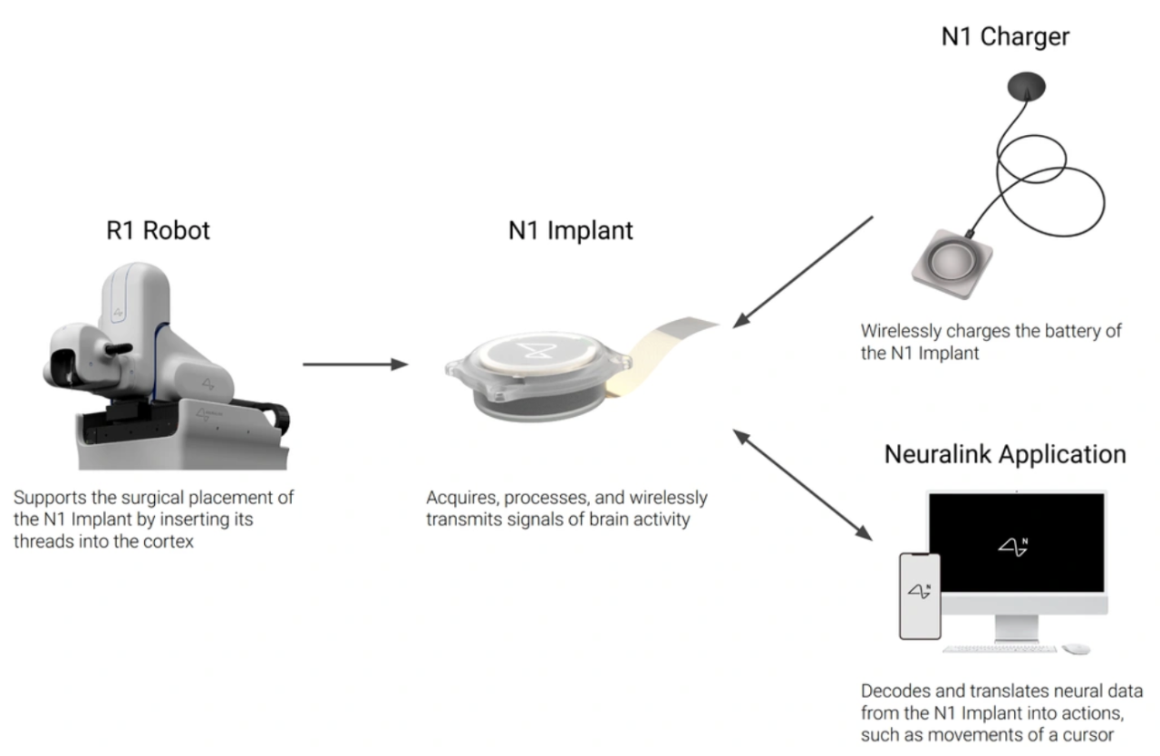 图片[7]-马斯克脑机接口意念控制机械臂！演示者获得钢铁之吻，理论上可控制一切-AI Express News