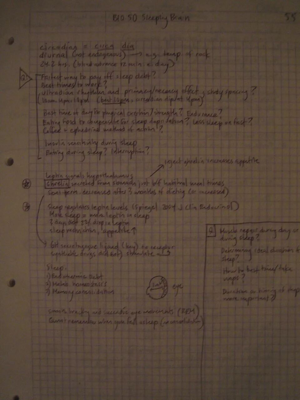 图片[4]-Tim Ferriss 如何像个创造者一样做笔记，而不是个记流水账的记账员-AI Express News