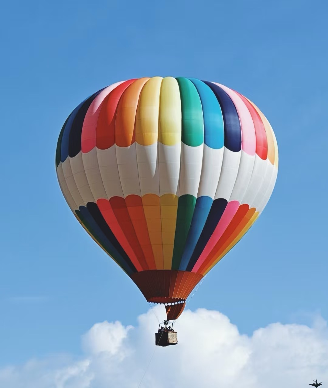 图片[4]-豆包图像创作模型Seedream 4.5发布：聚焦商业生产力场景-AI Express News