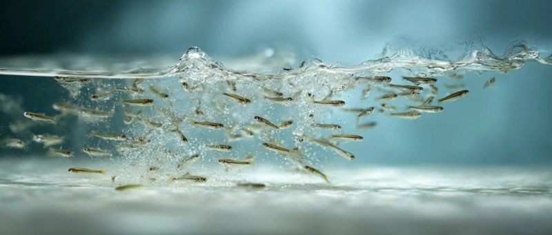 “教育的底线”联合倡议书（2025）-AI Express News