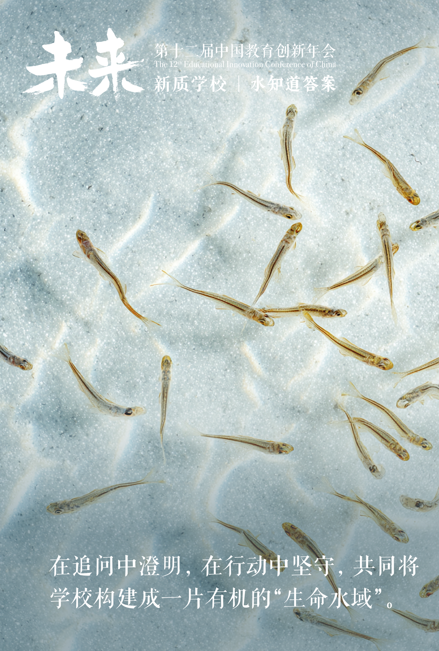 图片[1]-“教育的底线”联合倡议书（2025）-AI Express News