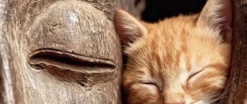 当下市场最缺的是精神产品-AI Express News