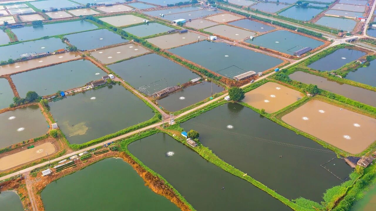 图片[2]-不敢相信，最懂用AI的人，竟然在鱼塘和车间-AI Express News