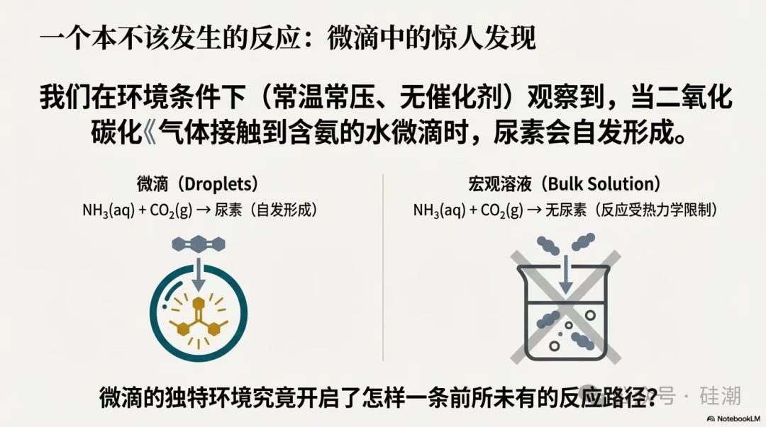 以上图源：硅潮