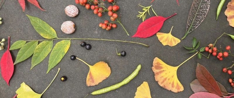 从语言到世界：AI如何学会“看见”看不见的一切？-AI Express News