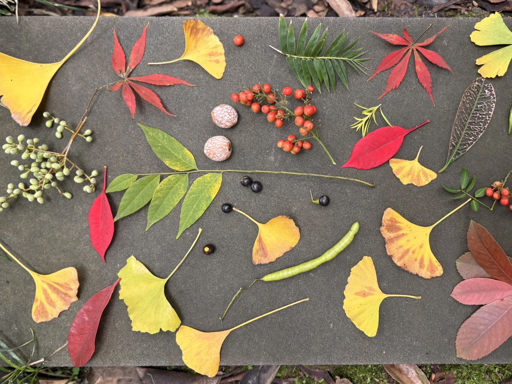 图片[2]-从语言到世界：AI如何学会“看见”看不见的一切？-AI Express News