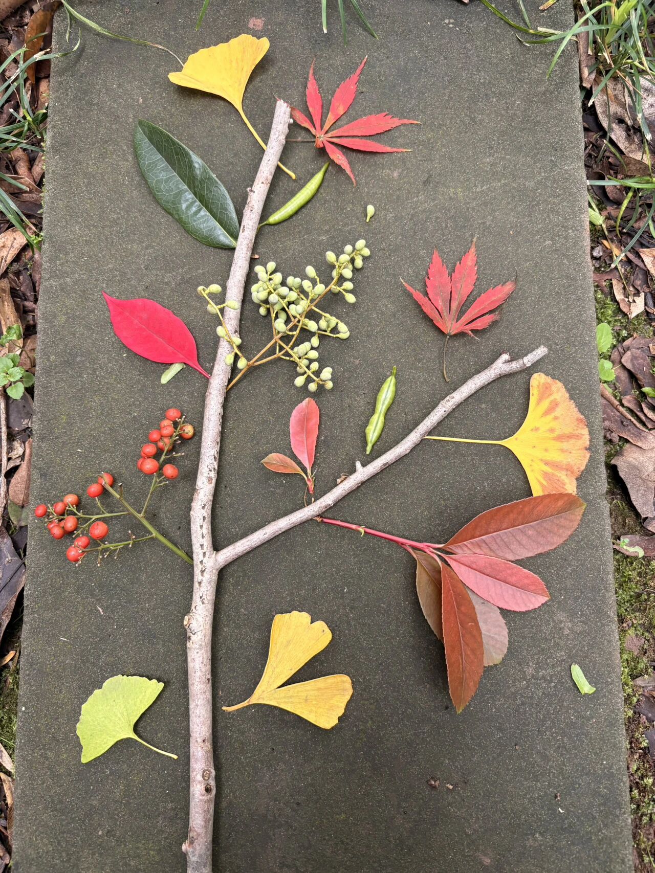 图片[3]-从语言到世界：AI如何学会“看见”看不见的一切？-AI Express News