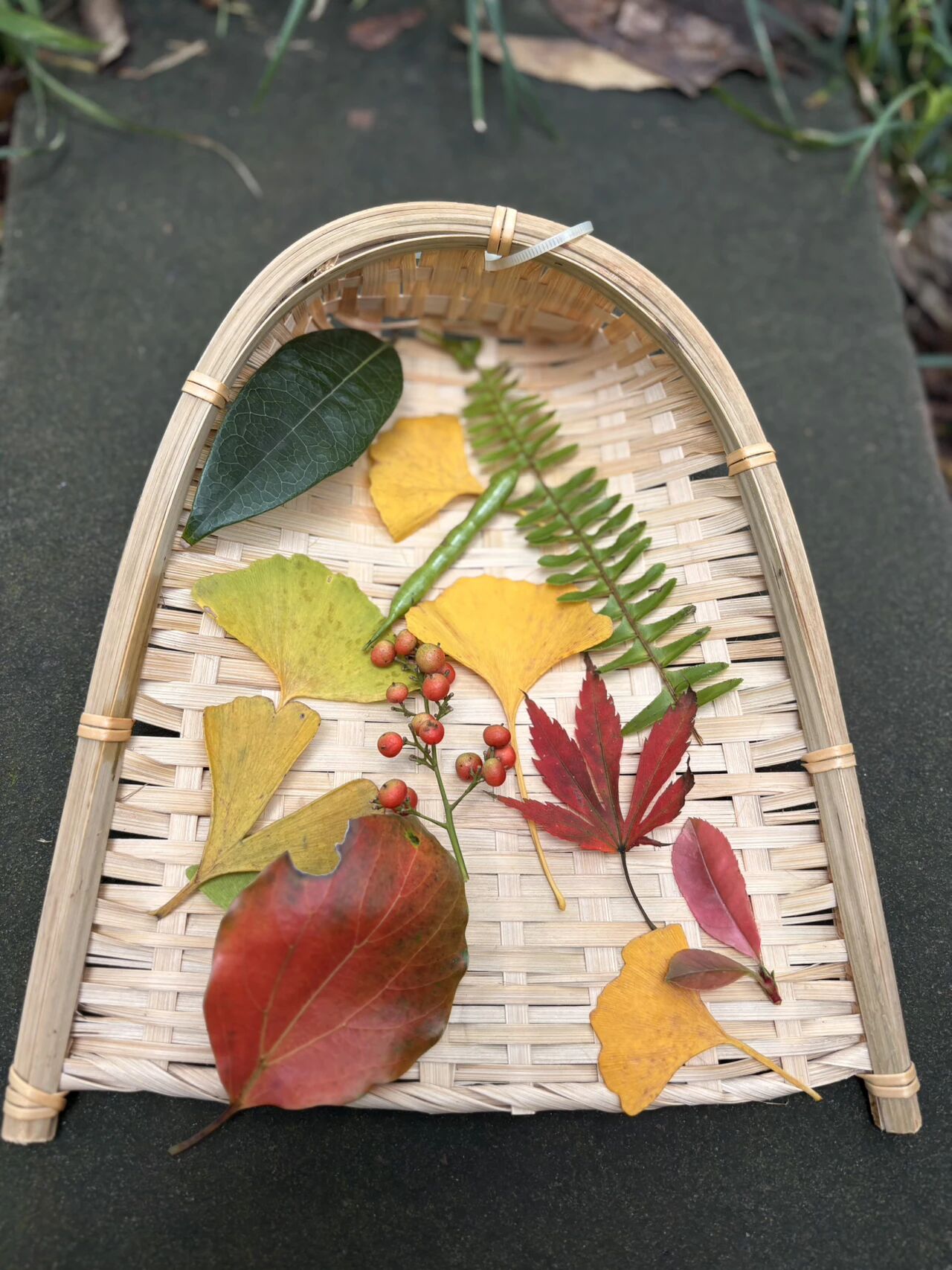 图片[5]-从语言到世界：AI如何学会“看见”看不见的一切？-AI Express News