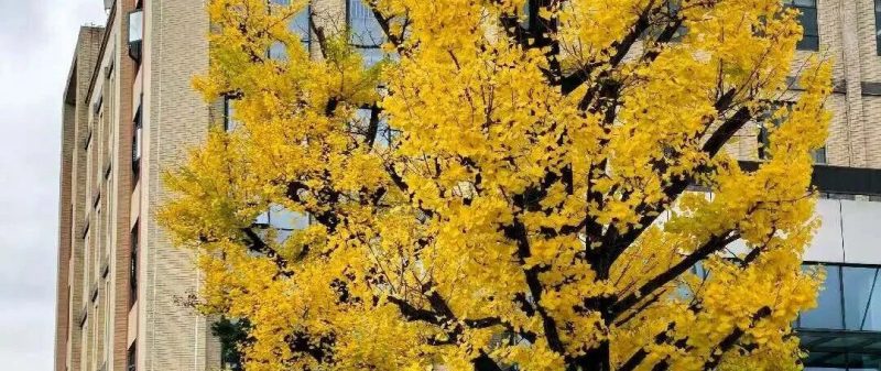 我的教学之路：教书 13 年，我发现课堂上讲太多，危害真的很大！-AI Express News