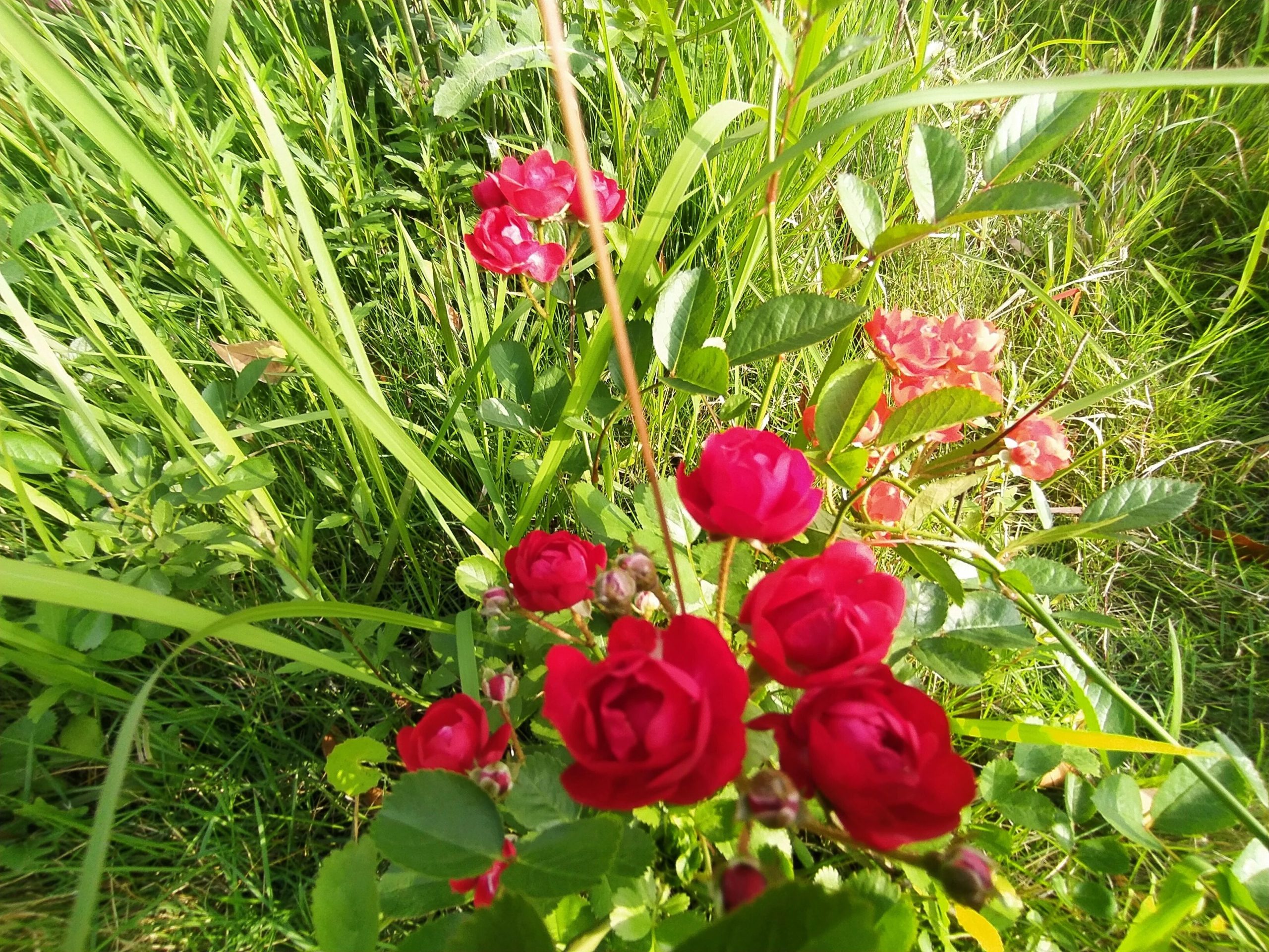 图片[1]-我的教学之路：教书 13 年，我发现课堂上讲太多，危害真的很大！-AI Express News