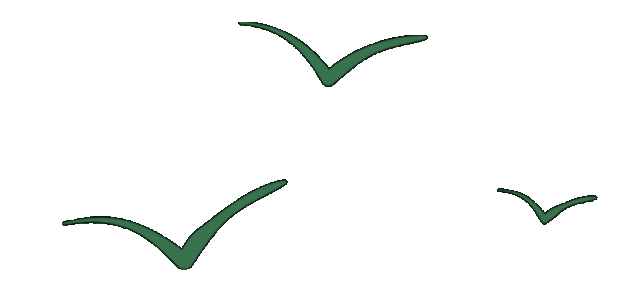 图片[2]-沙漠踏雪，只在武汉，最佳观赏期到了！-AI Express News