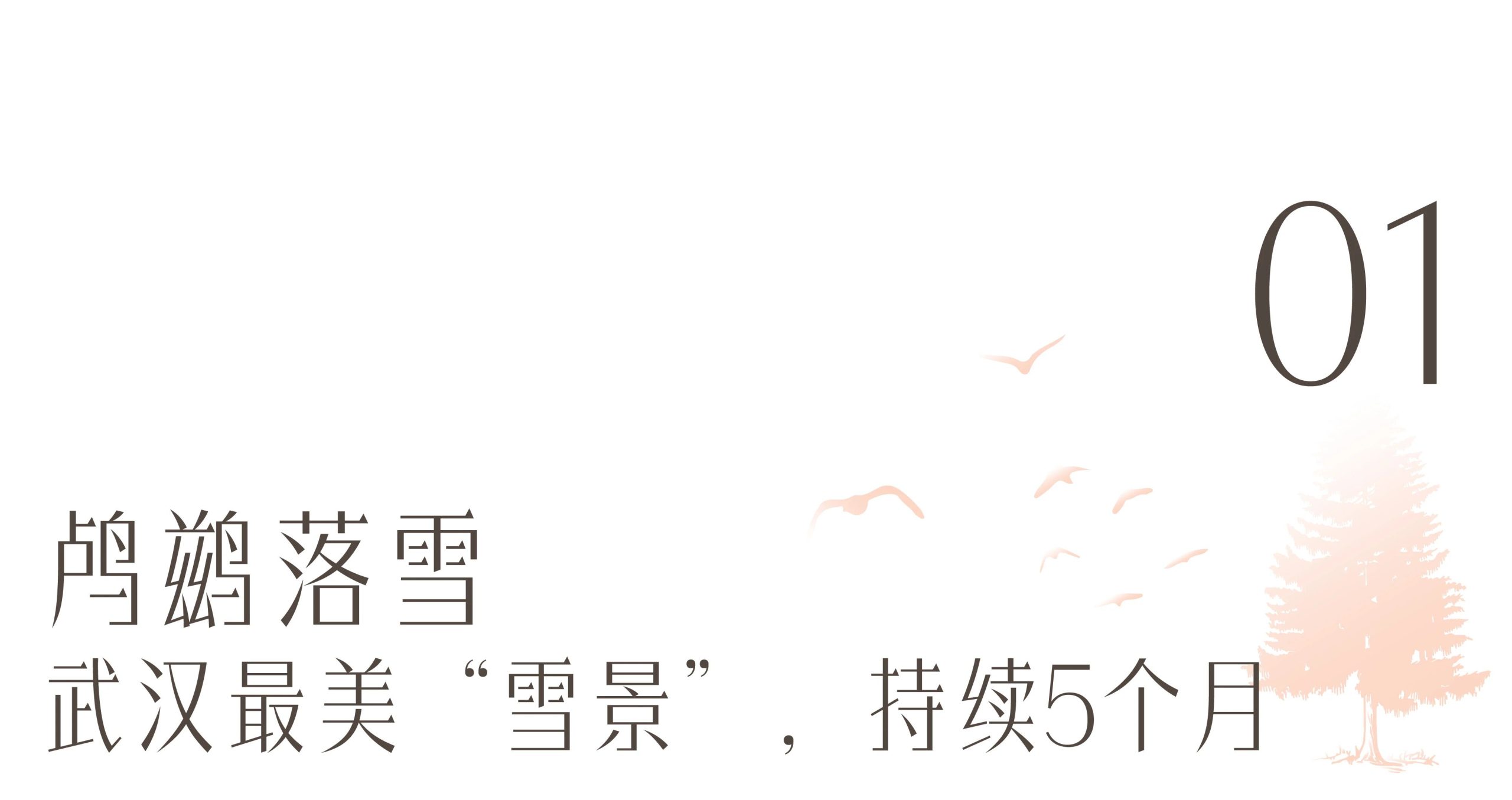 图片[3]-沙漠踏雪，只在武汉，最佳观赏期到了！-AI Express News