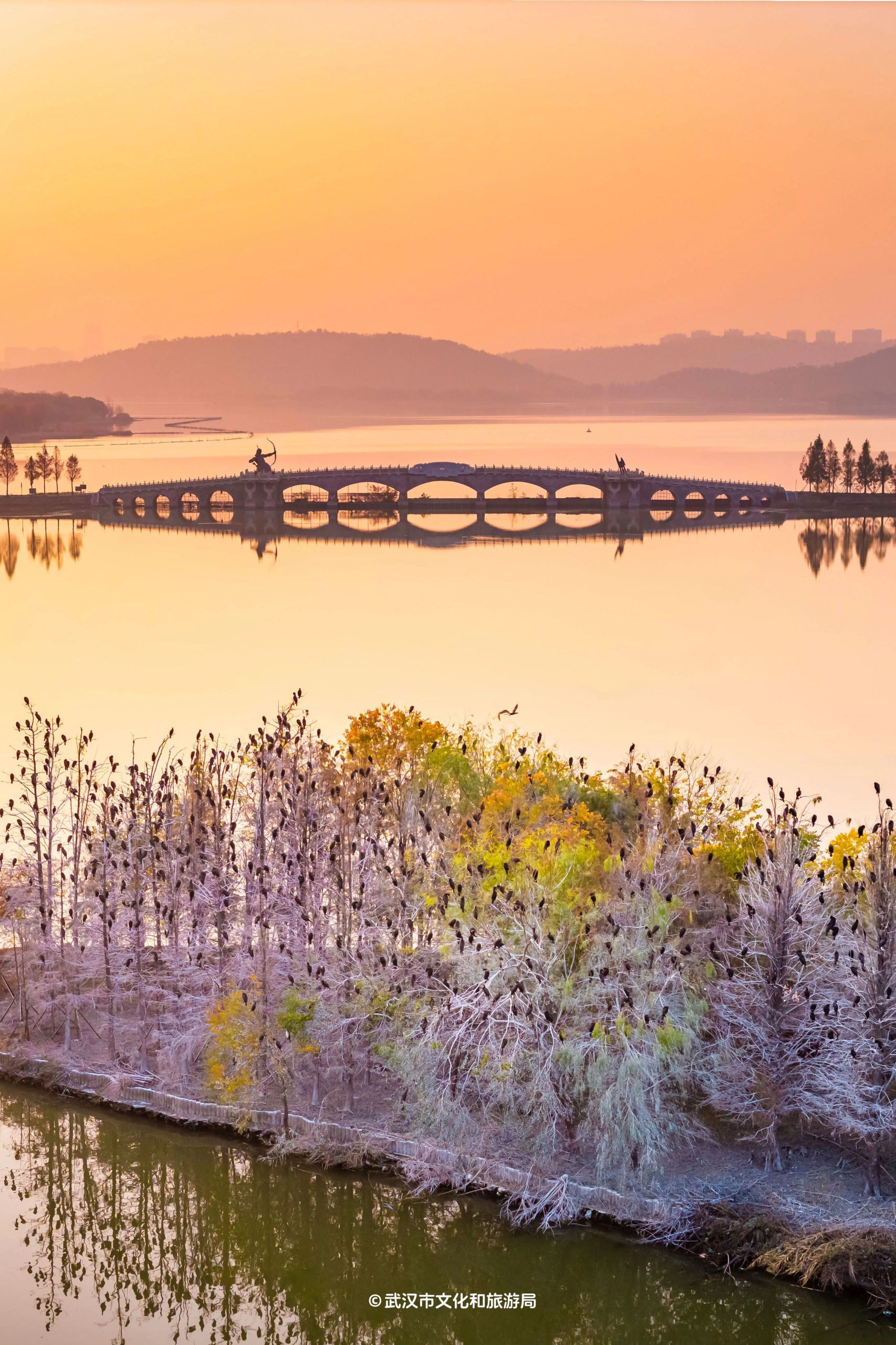 图片[10]-沙漠踏雪，只在武汉，最佳观赏期到了！-AI Express News