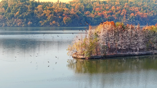 图片[13]-沙漠踏雪，只在武汉，最佳观赏期到了！-AI Express News