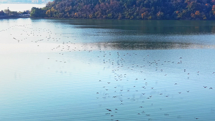 图片[14]-沙漠踏雪，只在武汉，最佳观赏期到了！-AI Express News