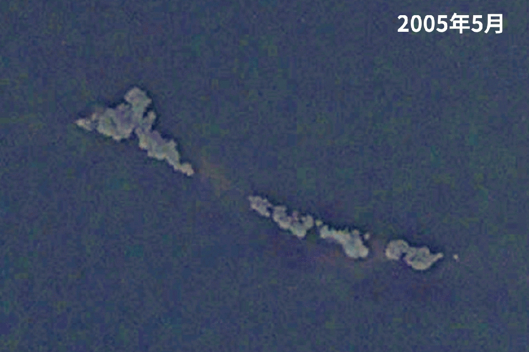 图片[15]-沙漠踏雪，只在武汉，最佳观赏期到了！-AI Express News