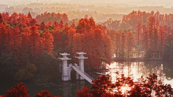 图片[16]-沙漠踏雪，只在武汉，最佳观赏期到了！-AI Express News