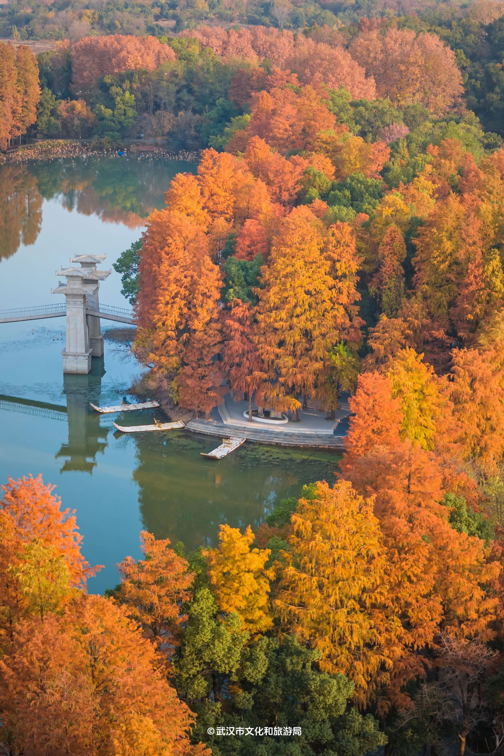 图片[17]-沙漠踏雪，只在武汉，最佳观赏期到了！-AI Express News