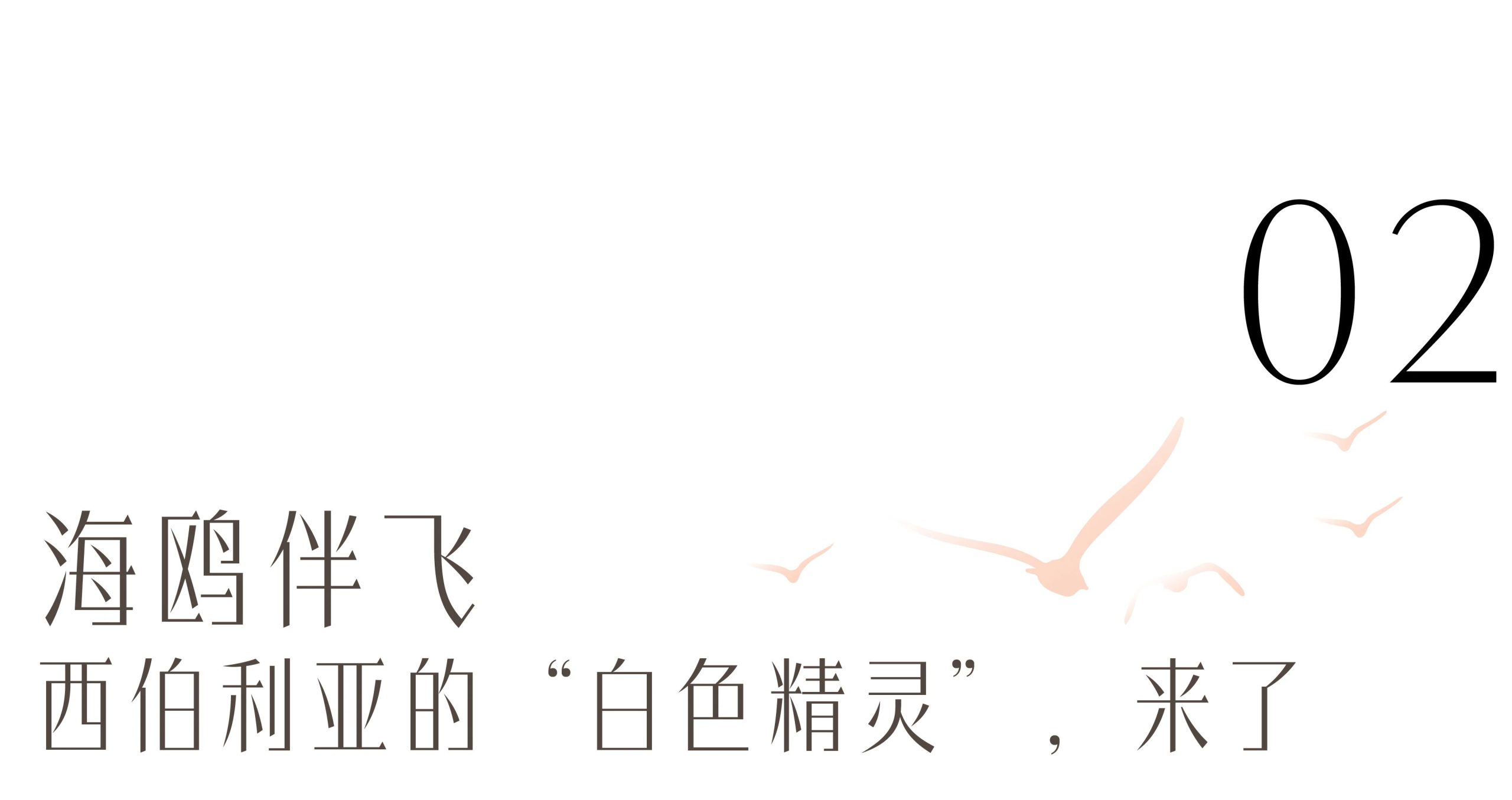 图片[24]-沙漠踏雪，只在武汉，最佳观赏期到了！-AI Express News