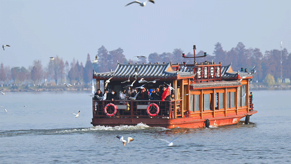 图片[27]-沙漠踏雪，只在武汉，最佳观赏期到了！-AI Express News