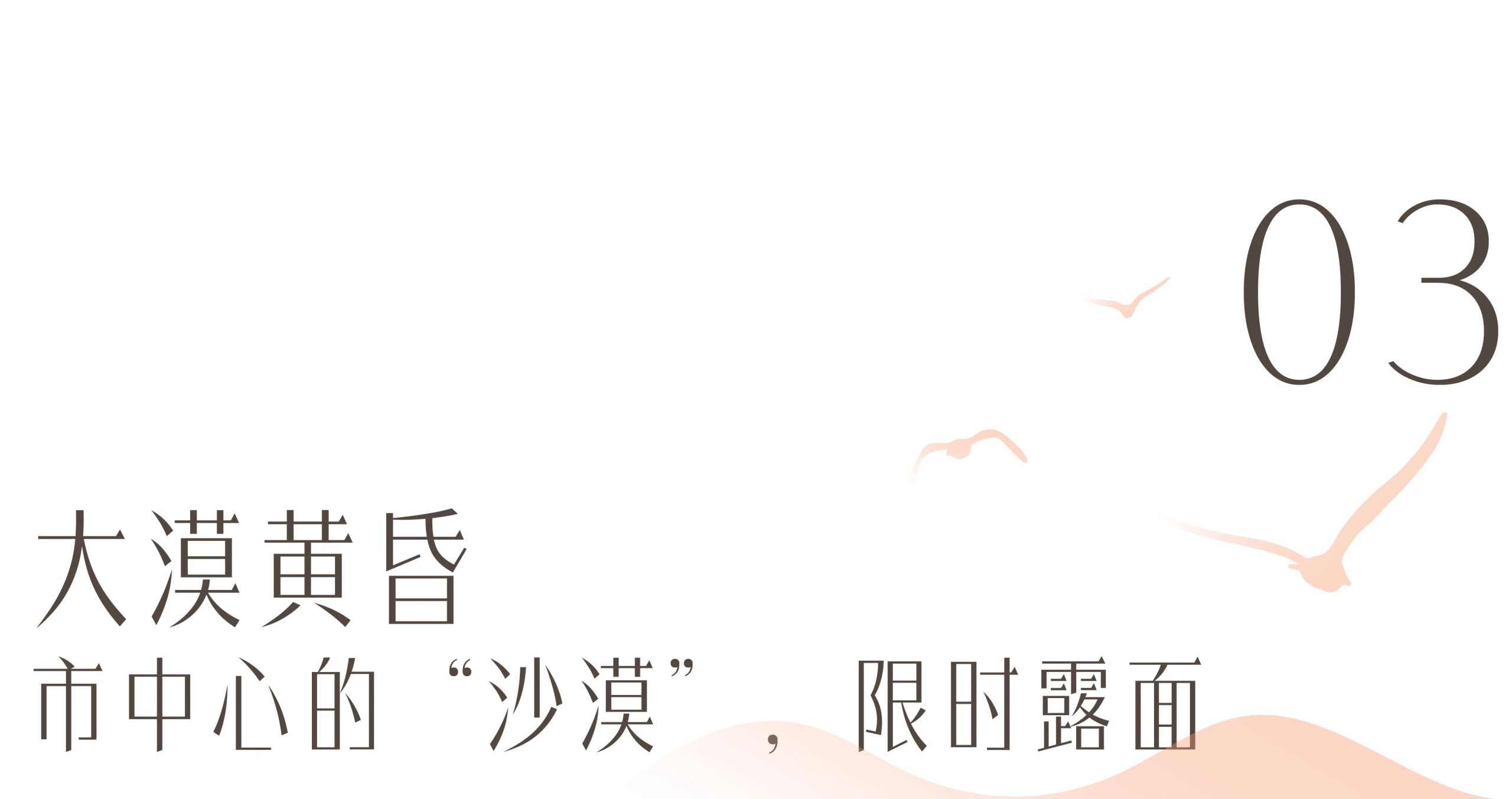 图片[32]-沙漠踏雪，只在武汉，最佳观赏期到了！-AI Express News