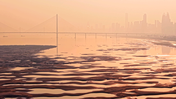 图片[33]-沙漠踏雪，只在武汉，最佳观赏期到了！-AI Express News