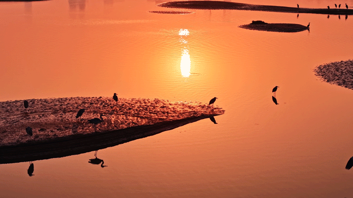 图片[34]-沙漠踏雪，只在武汉，最佳观赏期到了！-AI Express News