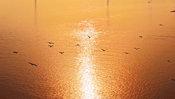 图片[35]-沙漠踏雪，只在武汉，最佳观赏期到了！-AI Express News