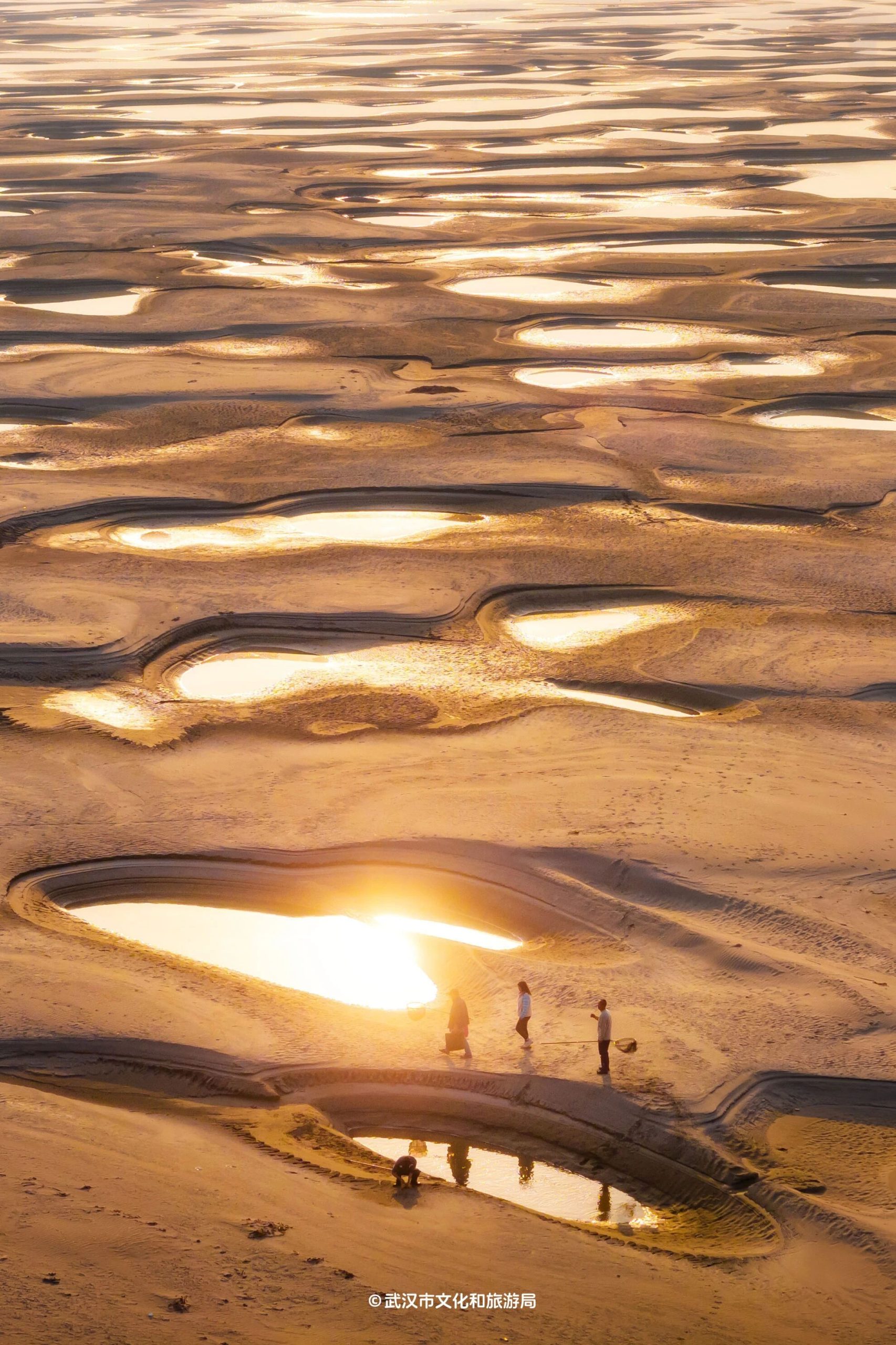 图片[36]-沙漠踏雪，只在武汉，最佳观赏期到了！-AI Express News