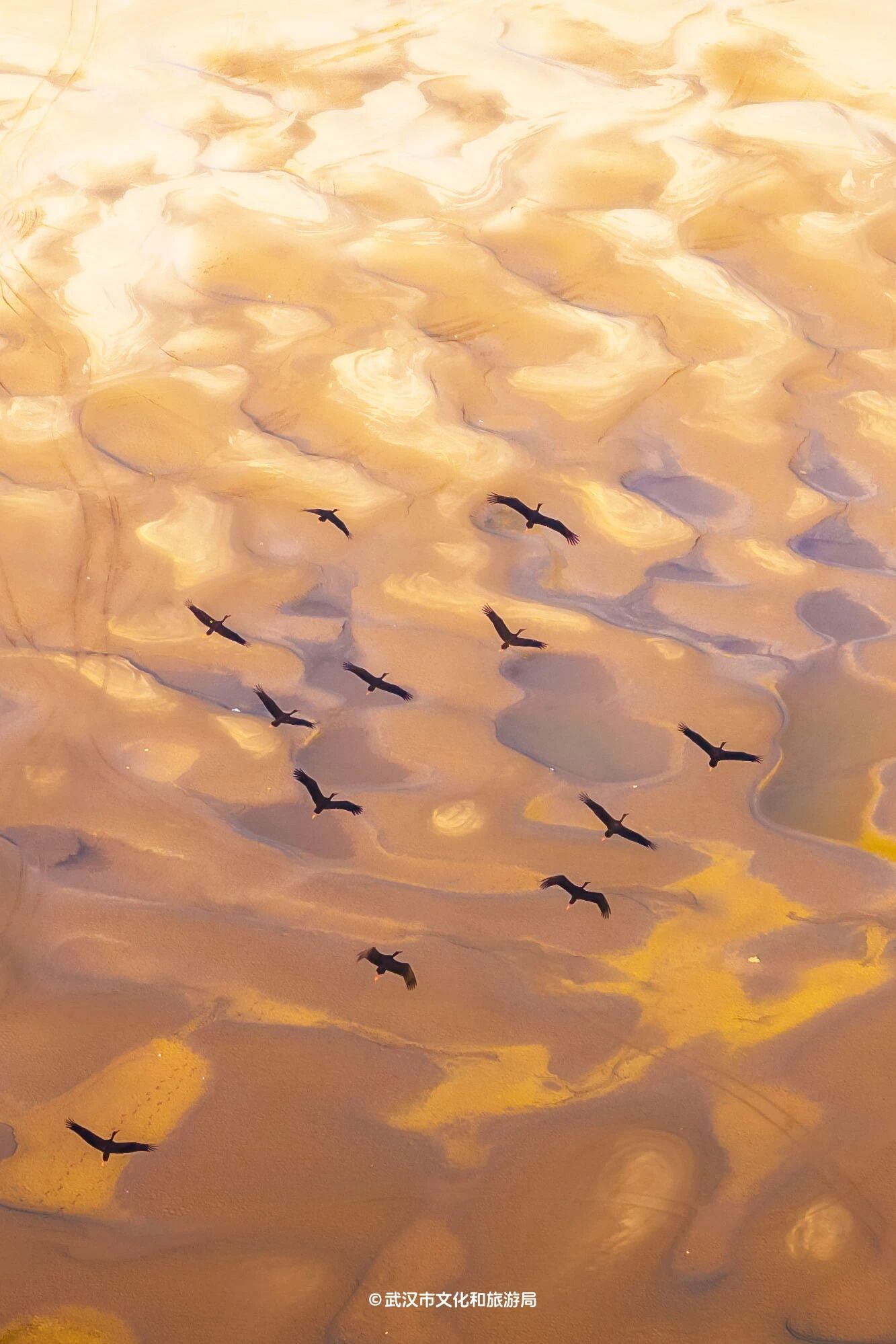 图片[40]-沙漠踏雪，只在武汉，最佳观赏期到了！-AI Express News